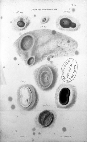 A practical treatise on variola ovina, or small-pox in sheep, containing the history of its recent introduction into England; with the progress, symptoms, and treatment of the disease; also the experiments instituted to ascertain its peculiar features, and the best means to avert its fatal consequences / [James Beart Simonds].