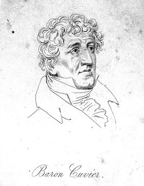 Georges-Léopold-Chrétien-Frédéric-Dagobert, Baron Cuvier. Etching.