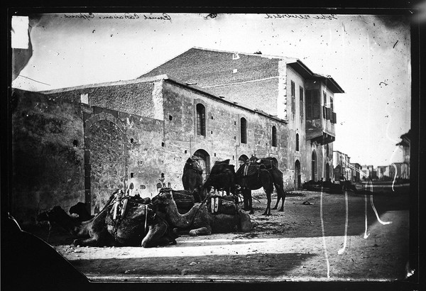 Cyprus, a camel caravan. Photograph, 1981, from a negative by John Thomson, 1878.