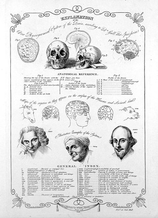 Phrenological diagrams of the skull and brain, with three portraits: Laurence Sterne, a mathematician, and Shakespeare; exemplifying the faculties of wit, number and imagination respectively. Engraving by H. Sawyer after W. Byam, 1818.