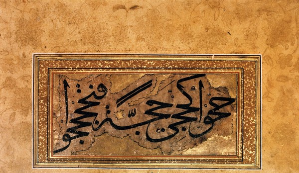 Calligraphy - Rayhani