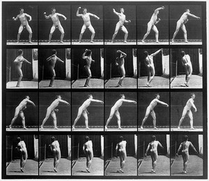 view E. Muybridge "Animal locomotion", plate