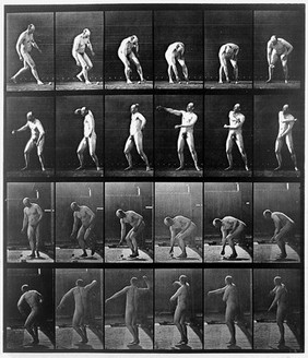 E. Muybridge "Animal locomotion", plate