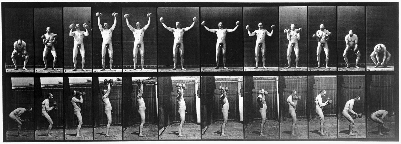 E. Muybridge "Animal locomotion", plate