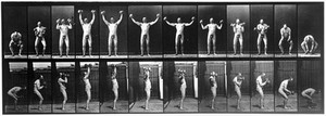 view E. Muybridge "Animal locomotion", plate