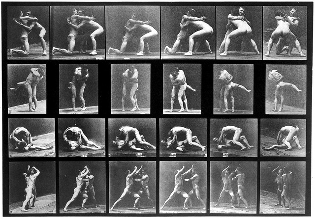 E. Muybridge "Animal locomotion", plate