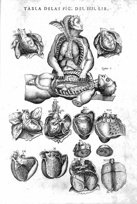 Historia de la composicion del cuerpo humano / Escrita por loan de Valuerde de Hamusco.