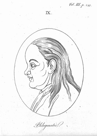 Essays on physiognomy; designed to promote the knowledge and the love of mankind / ... Illustrated by more than eight hundred engravings accurately copied; and some duplicates added from originals. Executed by, or under the inspection of Thomas Holloway. Translated from the French by Henry Hunter.