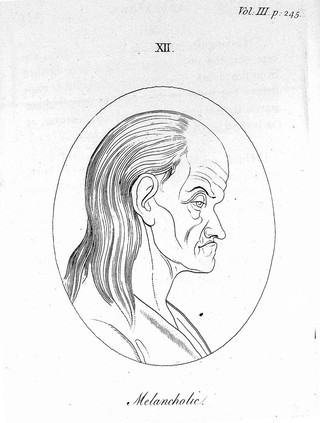 Essays on physiognomy; designed to promote the knowledge and the love of mankind / ... Illustrated by more than eight hundred engravings accurately copied; and some duplicates added from originals. Executed by, or under the inspection of Thomas Holloway. Translated from the French by Henry Hunter.