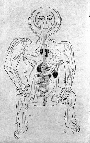 view Human figure showing arteries and viscera, Persian, 18th C