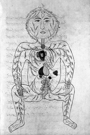 view Human body, arteries and viscera, Persian, 1893