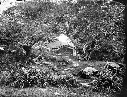 Wang Tong, Kwangtung province, China. Photograph, 1981, from a negative by John Thomson, 1870.