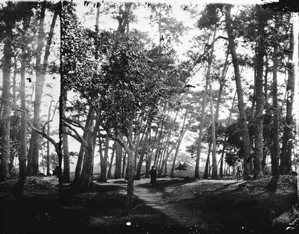 Foochow, Fukien province, China. Photograph, 1981, from a negative by John Thomson, 1870/1871.