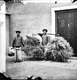 view Two field labourers at Amoy, one carries straw over his shoulder via a yoke, the other carries a food pot, Fukien province, China