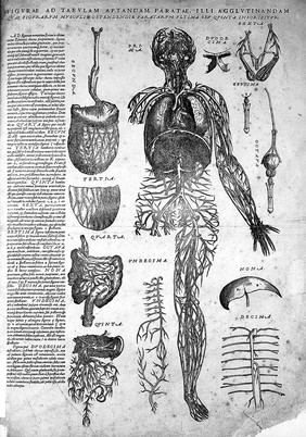 Andreae Vesalii Suorum de humani corporis fabrica librorum epitome / [Andreas Vesalius].