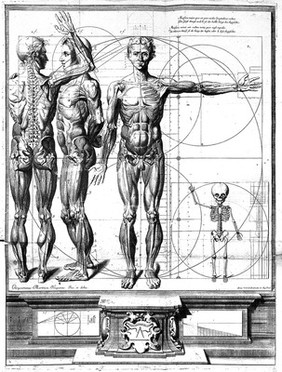 Catoptrum microcosmicum ... visionibus splendens, cum historia, et pinace, de novo prodit / [Johann Remmelin].