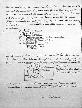 Exam papers in anatomy for Chinese students