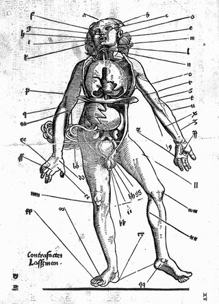 Wundartzney zu allen Gebrechen des gantzen Leibs, und zu jedem Glied besonder, mit was zufellen die entstehn, unnd einem Wundtartz zukommen mögen. Viel edler, bewerter Artzneyen, Rath und Meisterstück / Des ... Chirurgen Joannis Charethani. Rechte Kunst unnd Bericht der Aderlas.