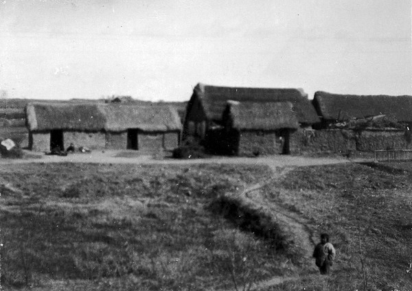 A solitary child walking across a field, away from some houses; the only survivor in a plague-ridden Chinese village. Photograph.