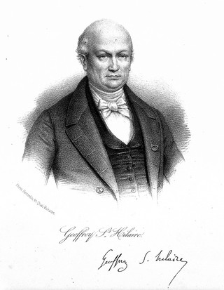 Etienne Geoffroy Saint-Hilaire. Lithograph.