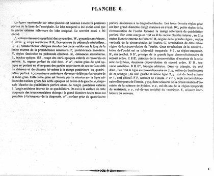 Traité complet de l'anatomie, de la physiologie, et de la pathologie du système nerveux cérébro-spinal ... 1re partie. Anatomie / [Achille Louis Foville].