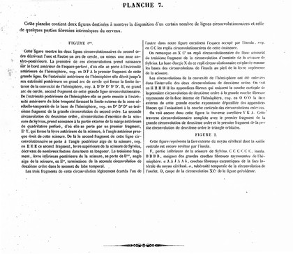 Traité complet de l'anatomie, de la physiologie, et de la pathologie du système nerveux cérébro-spinal ... 1re partie. Anatomie / [Achille Louis Foville].