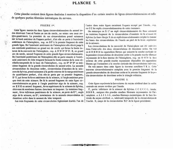 Traité complet de l'anatomie, de la physiologie, et de la pathologie du système nerveux cérébro-spinal ... 1re partie. Anatomie / [Achille Louis Foville].
