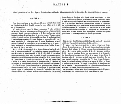 Traité complet de l'anatomie, de la physiologie, et de la pathologie du système nerveux cérébro-spinal ... 1re partie. Anatomie / [Achille Louis Foville].