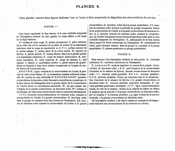 Traité complet de l'anatomie, de la physiologie, et de la pathologie du système nerveux cérébro-spinal ... 1re partie. Anatomie / [Achille Louis Foville].