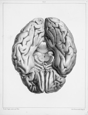 Traité complet de l'anatomie, de la physiologie, et de la pathologie du système nerveux cérébro-spinal ... 1re partie. Anatomie / [Achille Louis Foville].
