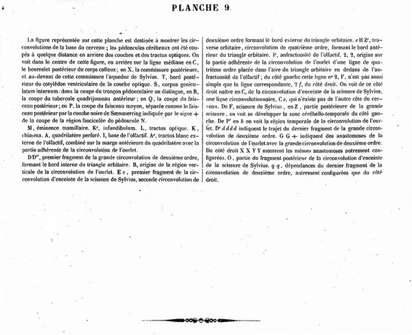 Traité complet de l'anatomie, de la physiologie, et de la pathologie du système nerveux cérébro-spinal ... 1re partie. Anatomie / [Achille Louis Foville].