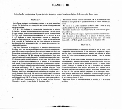 Traité complet de l'anatomie, de la physiologie, et de la pathologie du système nerveux cérébro-spinal ... 1re partie. Anatomie / [Achille Louis Foville].