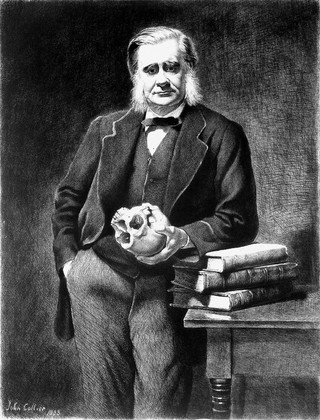 Thomas Henry Huxley. Etching by L. Flameng after the Hon. J. Collier.
