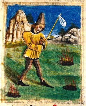 <i>Livre des simples médecines</i>, in French
