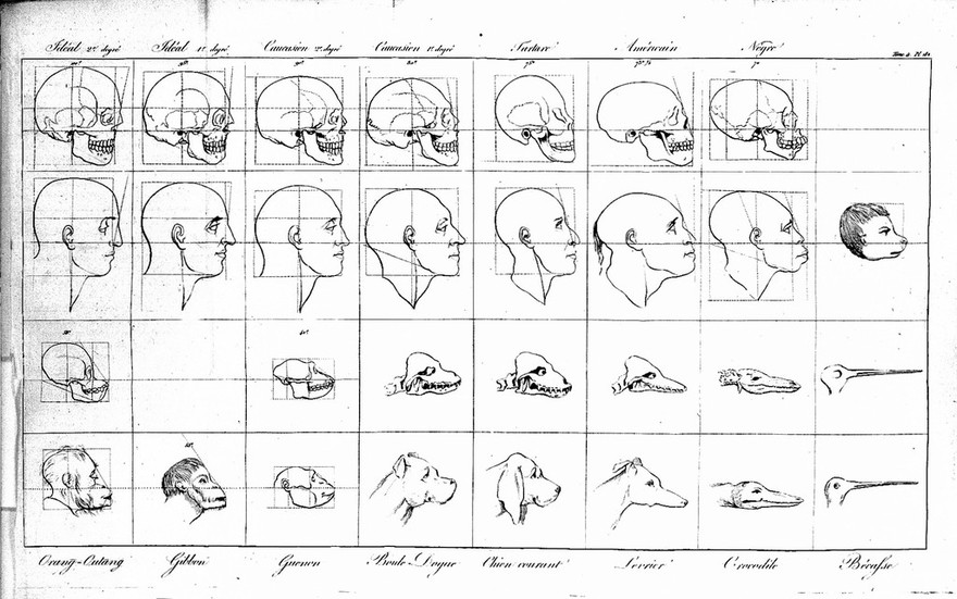 L'art de connaître les hommes par la physionomie ... / par M. Moreau.
