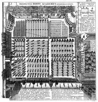 Index alter plantarum quae in horto academico Lugduno-Batavo aluntur / [Herman Boerhaave].