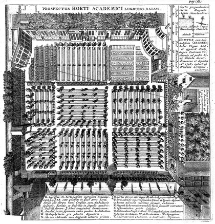 Index alter plantarum quae in horto academico Lugduno-Batavo aluntur / [Herman Boerhaave].