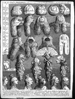 Wigs classified into five different orders in a parody of the orders of ancient Greek and Roman architecture. Etching by W. Hogarth, 1761.