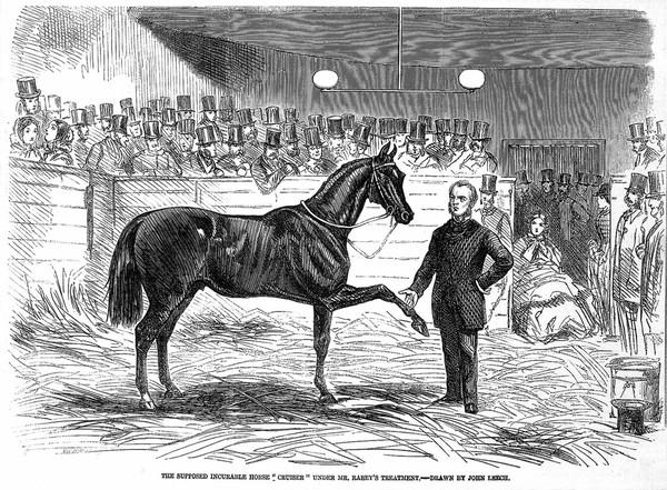 John Solomon Rarey with the stallion 'Cruiser', observed by onlookers. Wood engraving by J. Swain after J. Leech, 1858.