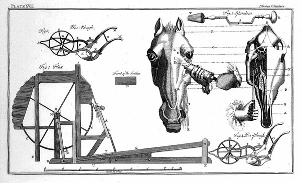 Engraving: treatment of glanders; c. 1790