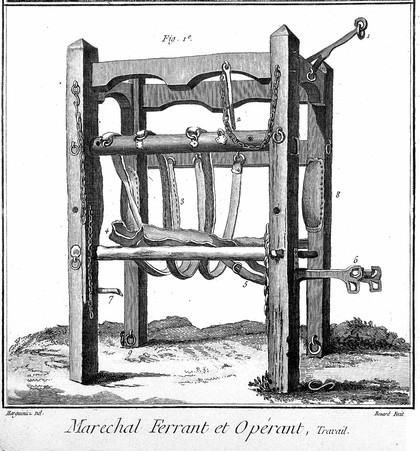 Contraption with straps for holding horse down