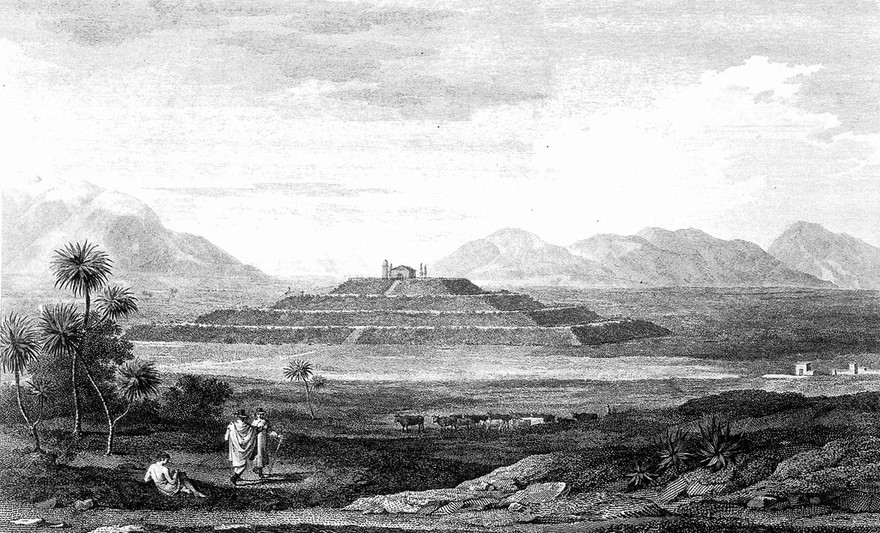 Vues des Cordillères et monumens des peuples indigènes de l'Amérique / Par Al. de Humboldt. [Atlas pittoresque].
