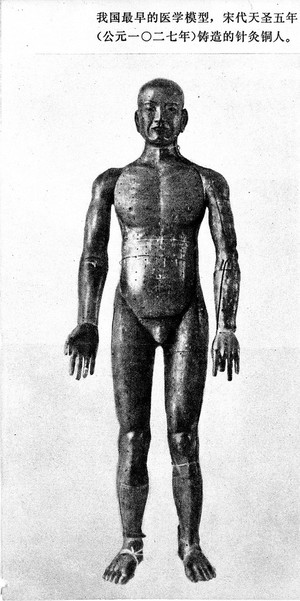 view Half-tone: bronze figure for acupuncture; 1027 A.D.