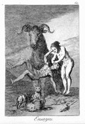 view A couple hovering off the ground being observed by a huge goat with two cats. Etching by F. Goya, 1796/1798.