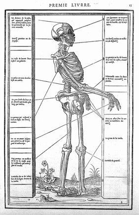 La dissection des parties du corps humain : avec les figures & declaratiõ des incisions, composées par Estienne de la Riuiere. Imprimé à Paris, chez Simon de Colines, 1546.