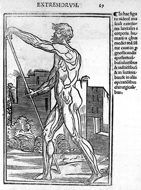 Isagoge breves prelucide ac uberime in anatomiam humani corporis. A communi medicorum academia usitatam. *** / [Jacopo Berengarius da Carpi].