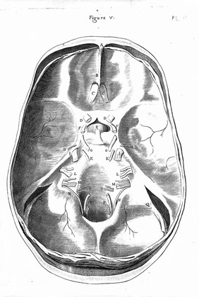 T. Willis "Cerebri Anatome", 1664: figure