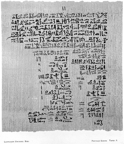 Papyros Ebers : das hermetische Buch über die Arzeneimittel der alten Ägypter in hieratischer Schrift / herausgegeben mit Inhaltsangabe und Einleitung versehen von Georg Ebers. Mit hieroglyphisch-lateinischem Glossar, von Ludwig Stern. Mit Unterstützung des Königlich Sächsischen Cultusministerium.