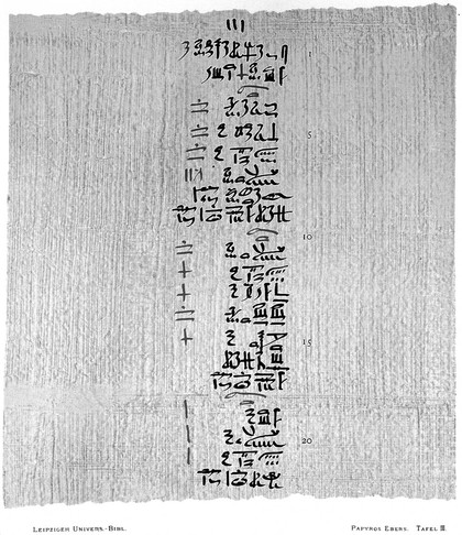 Papyros Ebers : das hermetische Buch über die Arzeneimittel der alten Ägypter in hieratischer Schrift / herausgegeben mit Inhaltsangabe und Einleitung versehen von Georg Ebers. Mit hieroglyphisch-lateinischem Glossar, von Ludwig Stern. Mit Unterstützung des Königlich Sächsischen Cultusministerium.