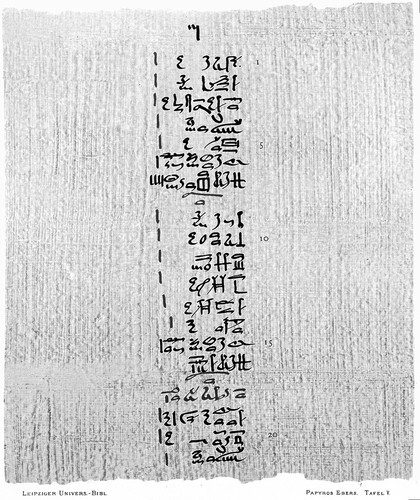 Papyros Ebers : das hermetische Buch über die Arzeneimittel der alten Ägypter in hieratischer Schrift / herausgegeben mit Inhaltsangabe und Einleitung versehen von Georg Ebers. Mit hieroglyphisch-lateinischem Glossar, von Ludwig Stern. Mit Unterstützung des Königlich Sächsischen Cultusministerium.